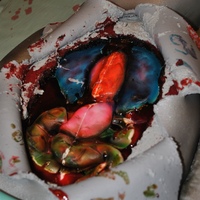 Alien Autopsy (Halloween Birthday Party)