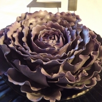 Blue And Purple Peony