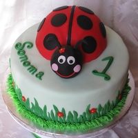 Sonoma's 1St Birthday Ladybug 1st Birthday Cake