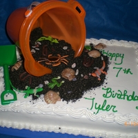 Dirt Cake For a friends son for his birthday, he loves to play in the dirt and play with bugs. French vanilla cake with BC. Dirt is crushed oreos...