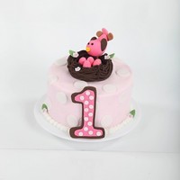 1St Birthday Cake I made this for a friend's baby's 1st B-day. They have called their little girl "Bird" since she was born and wanted a...