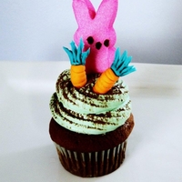 Bunny Cupcake A milk chocolate cupcake topped with green vanilla buttercream, a dusting of cocoa powder, hand-sculpted fondant carrots, and a Peeps...