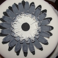 Graduated Colours This was made from two tins (turned upside down and hot glued together) for a cake show. Simple but time consuming, all circles cut and...