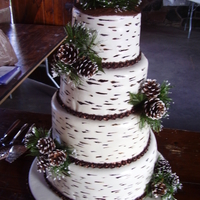 Birch Bark Wedding Cake Easiest cake ever! Toothpick with brown and black gel color made the birch bark look. Bride and groom were married in a National park and...