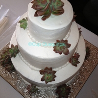 Succulent Wedding Cake Cup Quequitos' signature Mole cake. Fresh succulents