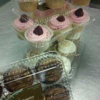 Cupcakes On The Go! Some more cupcakes for a big fundraiser. Coconut MojitoAlmond RaspberryCarrot PineappleChocolate MoleHoping these boxes will ship well too...