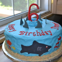 Shark Cake Shark cake for a boy turning 6. Cake is WASC with BC frosting and gumpaste accents. "Sand" is crushed Nilla Wafers.