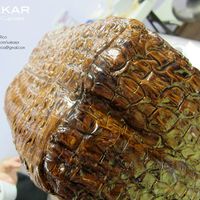 Crocodile Texture Httpsukkarbygreciablogspotcom Crocodile texture http://sukkarbygrecia.blogspot.com