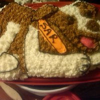 Search And Rescue Dog 