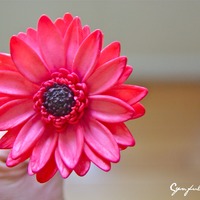 Gumpaste Flowers Large Daisy