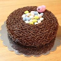 Easter Nest Cake I found this idea on a cake blog - can't remember which one now! It was really easy to do. Yellow cake baked in a 9" contour pan...