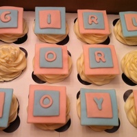 Girl Or Boy Cupcakes 