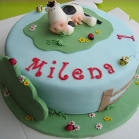 Cow In The Grass cow in the grass