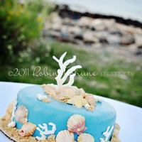 Personal Size Cake For Ocean-Side Wedding This was my 4th cake. I was asked to make something very small - just enough for the bride & groom to cut. Gluten free, chocolate with...