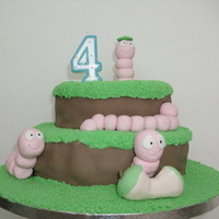 Worm Cake My youngest wanted a dinosaur cake......then changed his mind 2 days before his birthday and wanted WORMS!!!! urned out well though!