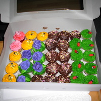 Cupcakes choc fudge, fondant bee's and ladybugs, roses