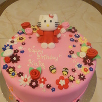 Hello Kitty For Kate 