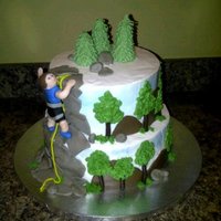 The Grooms Cakehe Was A Rock Climber The Groom's Cake....he was a rock climber.