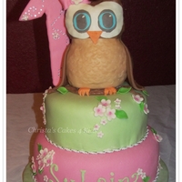 Look Whoo's One! Owl made of RKT. 1 is not edible. MMF covering on all.