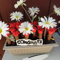 Graduation Cake With Pretzels