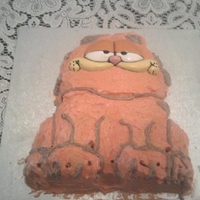 Garfield Butter icing, wilton Garfield tin, piping is not my strong point especially on a hot day.