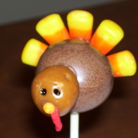 Little Gobbler He was thrilled to learn he wouldn't be the main course for Thanksgiving Dinner. However, we didn't have the heart to tell him...