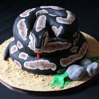 Python Birthday Cake My first snake I was asked to do for a friends birthday..