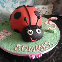Ladybird/ladybug Birthday Cake Ladybird /ladybug birthday cake