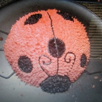 First Cake :) Lady bug cake