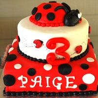 Paige's Ladybug Party I made this cake for a friend's little girl on her 3rd birthday! The ladybug on top was a huge hit!