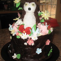 Owl Bday Cake Owl made out of modelling chocolate, flowers out of MM fondant, cake and icing are sugar-free (hard to work with!).