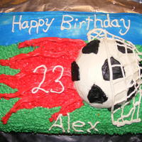 Soccer Birthday Cake Cake that I was talked into doing all in just one day. Didn't want to do a regular normal soccer cake, as all I could find in research...