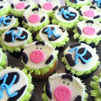 Moo! Cow Cupcakes Cow cupcakes for a little girl's 11th birthday party. I have step-by-step instructions on how to make these on my blog http://...