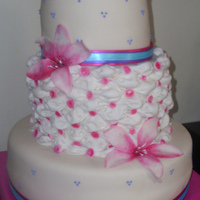 The Cake That Didnt Make It CSM: This was so many first for me, and clearly I wasn't ready to take on such a big cake. I was super proud of it before i left the...