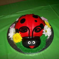 Ladybug Cake 