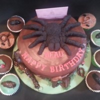 Wwwclairescakesescouk www.clairescakeses***.co.uk