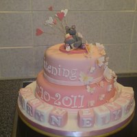 Christening Cake the mother has requested me to do the cake in 2 tier, pinks and whites with butterfly, hearts and the name will be in building, and if i...