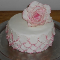 Petal Cake 
