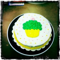 My First Cake I had a time with this cake starting with it not rising more than about 2 inches! But in the end I'm please for this being my first...