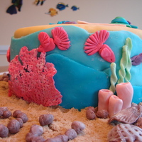 Florida Cake