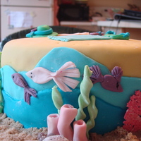 Florida Cake