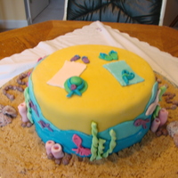 Florida Cake