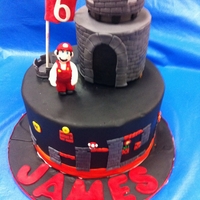 Super Mario Bros Cake - World 8 My nephew wanted a Super Mario Bros Cake, he specifically asked for the "lava world"