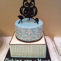 Owl Baby Shower Cake Baby Shower Cake. Design Based on the invitation. The design on top was made with my cricut cake.