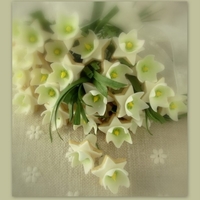 Wildflower Cookies A bouquet of wildlflower cookies