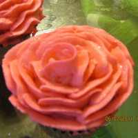 Rose Cupcakes I used the 101 tip and just piped rose petals all around them. This was my first time using my new airbrush so i decided to airbrush then...