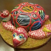 Super Rad 80's Sea Turtle...from Vermont. :) 