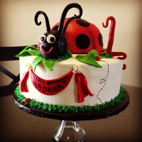 Madam Ladybug! 10"round cake with ladybug cake on top. Ladybug is covered in fondant and bottom tier is buttercream. All fondant/gumpaste accents.