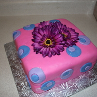 My Second Cake 