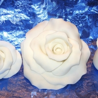Mmf Flowers These are my practice flowers. Still learning. :-DUnlike most gumpaste flowers, these actually taste good! :-)